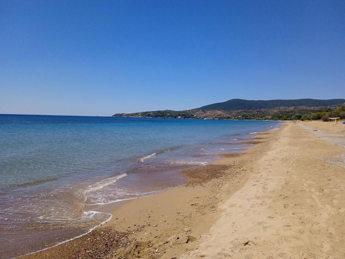 Koroni Stone House, Newly Built Studios By The Sea Dış mekan fotoğraf